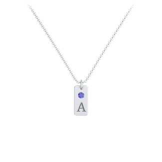 Small Initial Tag Necklace with Birthstone | Jewlr